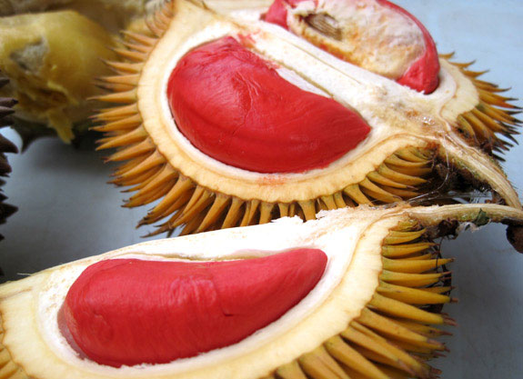 66 Durian Hantu Sarawak Gratis Terbaik