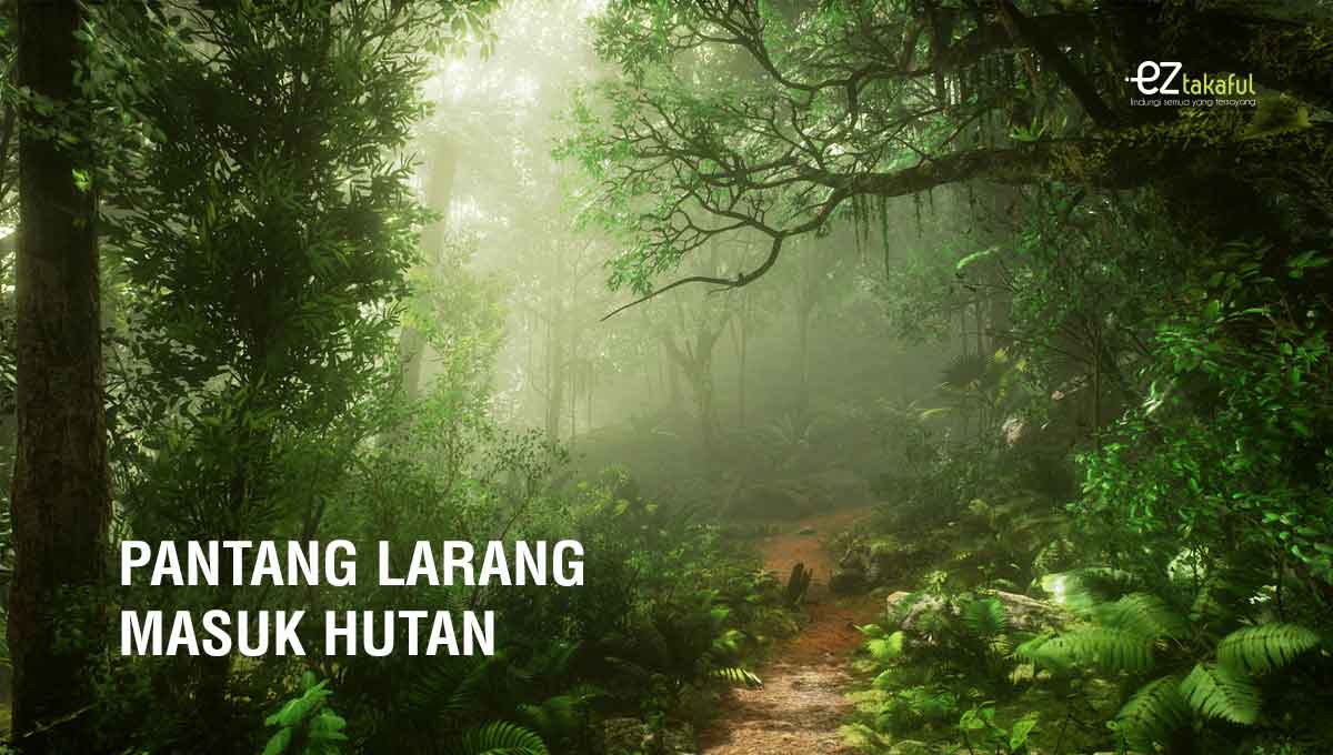 Kak Long│Pantang Larang Masuk Hutan - EZTakaful